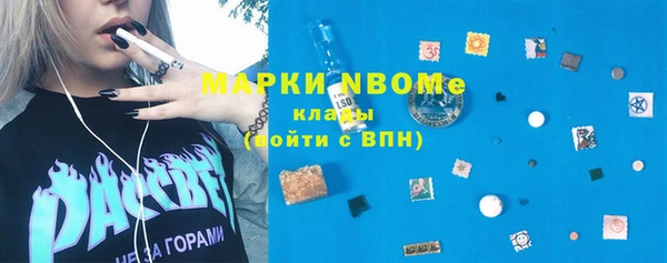 сатива Осинники