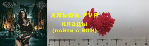 ешки Белокуриха