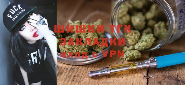 сатива Осинники